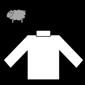 turtleneck  wool